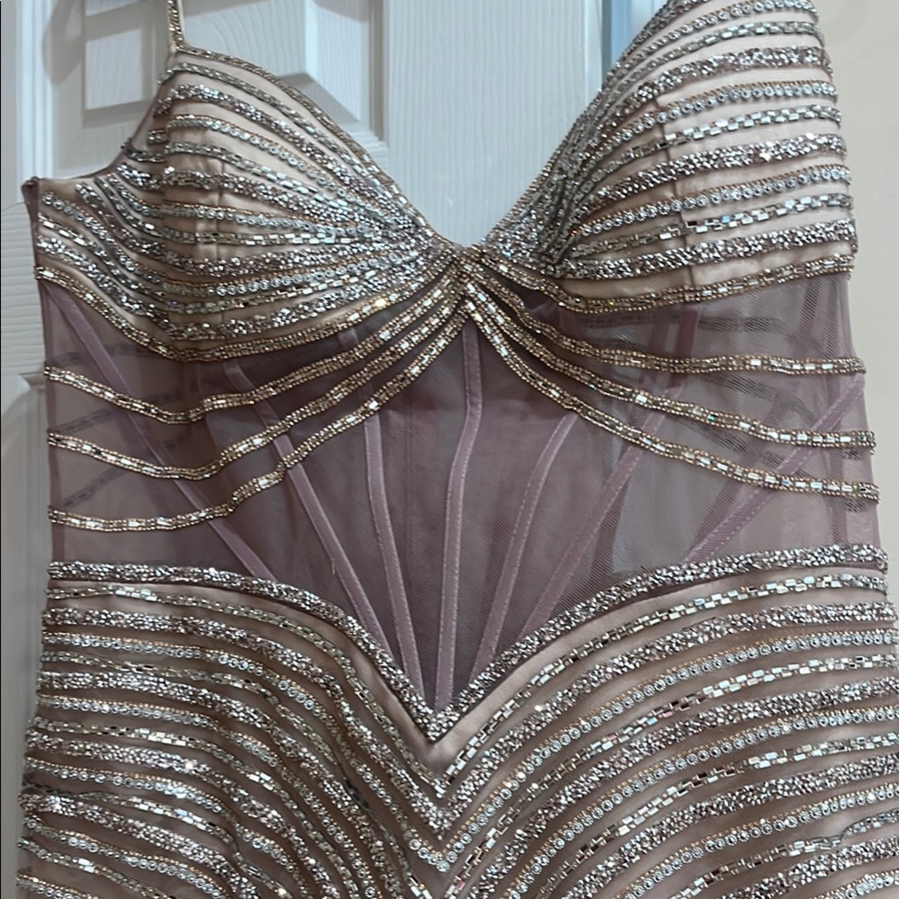 Elegant Beige and Silver Embellished Dress